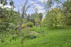 Photo 6- click for photo gallery